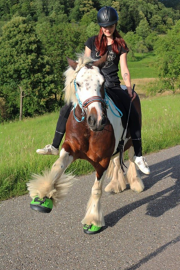 Why Hoof Boots?