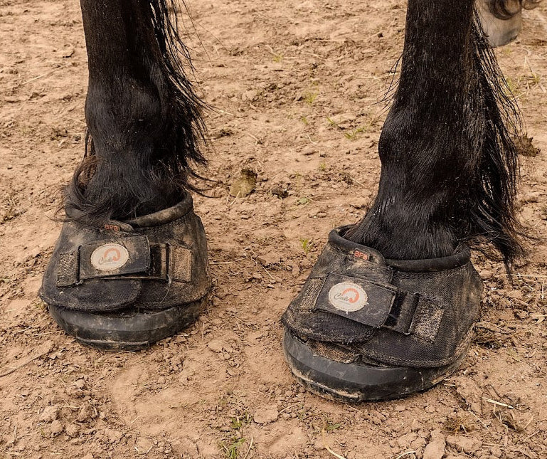 Cavallo Big Foot Hoof Boots worn by a dark horse on sandy ground 
