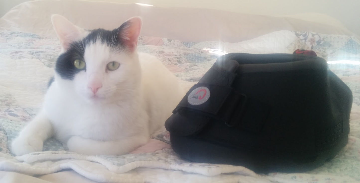 Cavallo Big Foot Hoof Boot for heavy horses with Black and white Cat for size comparison.